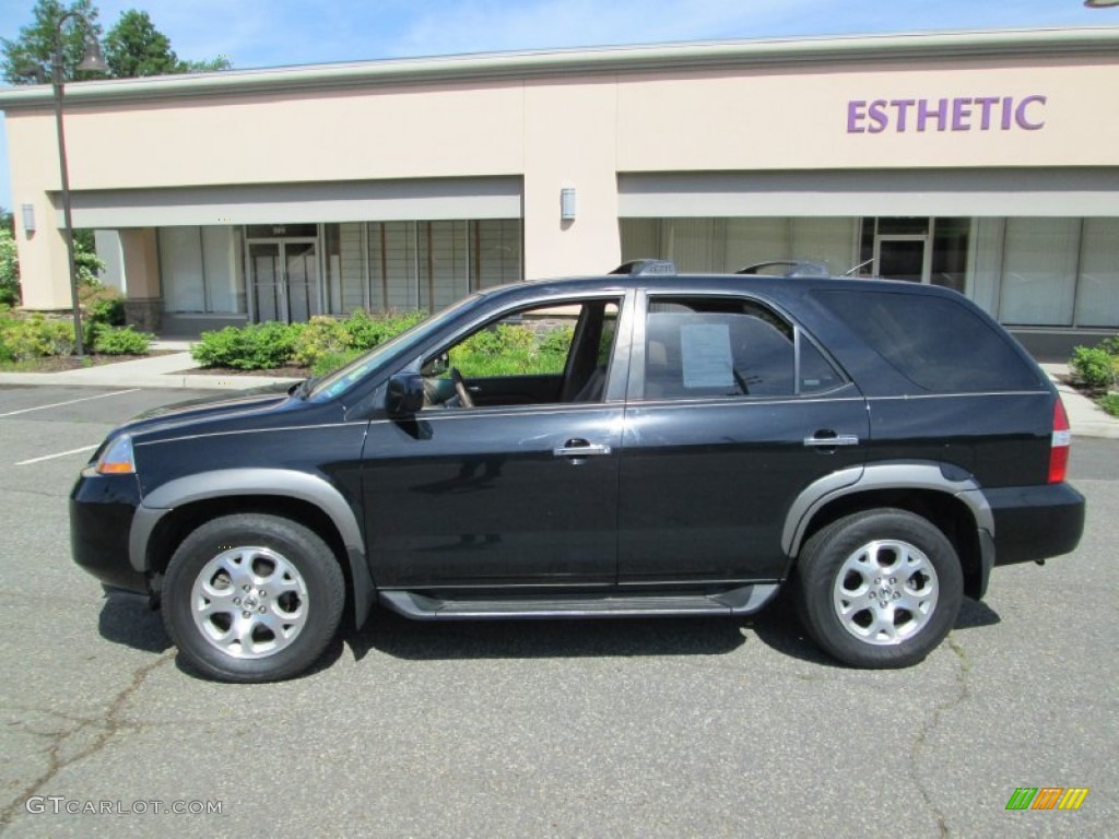 2002 MDX Touring - Nighthawk Black Pearl / Saddle photo #3