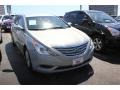 Radiant Silver - Sonata GLS Photo No. 1
