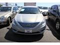 Radiant Silver - Sonata GLS Photo No. 4