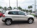 White Gold Metallic - Tiguan Wolfsburg Edition Photo No. 6