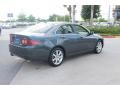 Carbon Gray Pearl - TSX Sedan Photo No. 7