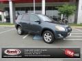 Black Forest Pearl - RAV4 Limited Photo No. 1