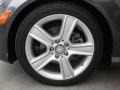 2010 Steel Grey Metallic Mercedes-Benz C 300 Sport  photo #24