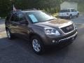 Medium Brown Metallic - Acadia SLE Photo No. 3