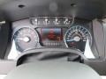 King Ranch Chaparral Leather Gauges Photo for 2013 Ford F150 #81956119