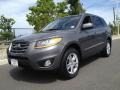 Harbor Gray Metallic 2010 Hyundai Santa Fe SE