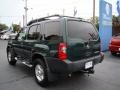 2002 Alpine Green Metallic Nissan Xterra XE V6  photo #6