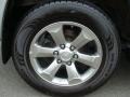 Titanium Metallic - 4Runner Limited 4x4 Photo No. 24