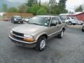Light Pewter Metallic - Blazer LS 4x4 Photo No. 3