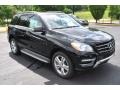 Black - ML 350 4Matic Photo No. 1