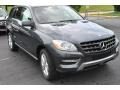 Steel Grey Metallic - ML 350 4Matic Photo No. 1