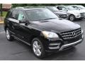 Black - ML 350 4Matic Photo No. 1