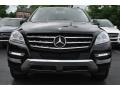 Black - ML 350 4Matic Photo No. 2