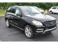 Black - ML 350 4Matic Photo No. 1