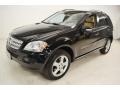 Black - ML 350 4Matic Photo No. 5