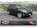 2013 Spruce Green Mica Toyota RAV4 XLE AWD  photo #1