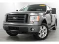 Sterling Grey Metallic 2009 Ford F150 FX4 SuperCrew 4x4 Exterior