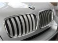 2013 Titanium Silver Metallic BMW X5 xDrive 35i  photo #10