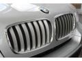 Titanium Silver Metallic - X5 xDrive 35i Photo No. 10