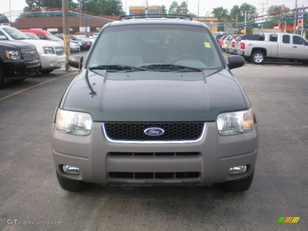 2002 Escape XLT V6 4WD - Dark Highland Green Metallic / Medium Graphite photo #7