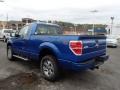 2013 Blue Flame Metallic Ford F150 STX Regular Cab 4x4  photo #6