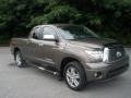 2010 Pyrite Brown Mica Toyota Tundra Limited Double Cab 4x4  photo #1
