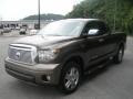 2010 Pyrite Brown Mica Toyota Tundra Limited Double Cab 4x4  photo #13