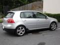 Reflex Silver Metallic - GTI 4 Door Photo No. 15