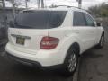 Alabaster White - ML 350 4Matic Photo No. 4