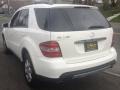 Alabaster White - ML 350 4Matic Photo No. 6