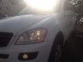 Alabaster White - ML 350 4Matic Photo No. 66