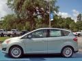 Ice Storm 2013 Ford C-Max Energi Exterior