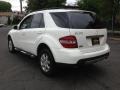 Alabaster White - ML 350 4Matic Photo No. 5