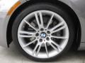 2011 Space Gray Metallic BMW 3 Series 335i Coupe  photo #25