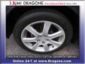Carbon Gray Pearl - TSX Sedan Photo No. 7