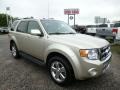 Gold Leaf Metallic 2010 Ford Escape Limited 4WD