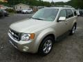 Gold Leaf Metallic - Escape Limited 4WD Photo No. 2