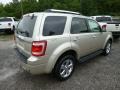 Gold Leaf Metallic - Escape Limited 4WD Photo No. 5