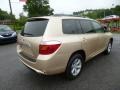 Sandy Beach Metallic - Highlander V6 4WD Photo No. 7