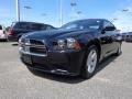 Blackberry Pearl 2012 Dodge Charger SE Exterior