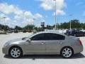 Pebble Beach Metallic - Maxima 3.5 SE Photo No. 2
