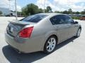 Pebble Beach Metallic - Maxima 3.5 SE Photo No. 8