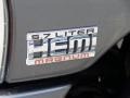 2004 Graphite Metallic Dodge Ram 1500 ST Regular Cab  photo #24