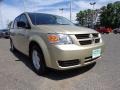 White Gold Pearl - Grand Caravan SE Hero Photo No. 9