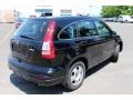 Crystal Black Pearl - CR-V LX 4WD Photo No. 6