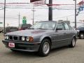 Arctic Grey Metallic 1995 BMW 5 Series 540i Sedan