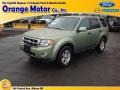 Kiwi Green Metallic 2008 Ford Escape Hybrid 4WD