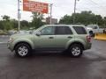 Kiwi Green Metallic - Escape Hybrid 4WD Photo No. 2
