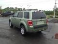 Kiwi Green Metallic - Escape Hybrid 4WD Photo No. 3