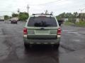 Kiwi Green Metallic - Escape Hybrid 4WD Photo No. 4